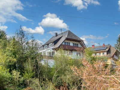 Holiday house Schwarzwaldhaus Barth - Outdoor photo 7