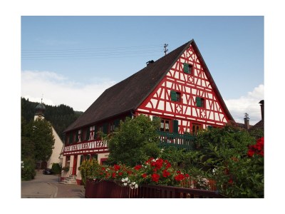 Holiday house Schwarzwaldhaus Barth - Environment photo 28