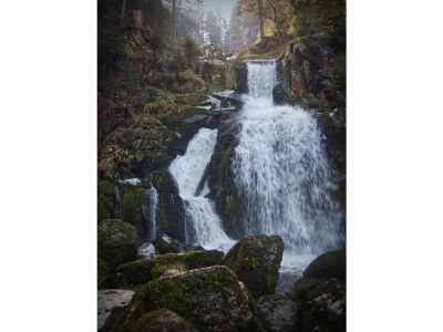 Holiday house Schwarzwaldhaus Barth - Environment photo 31