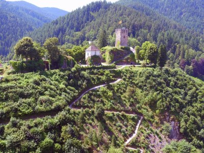 Holiday house Schwarzwaldhaus Barth - Environment photo 32