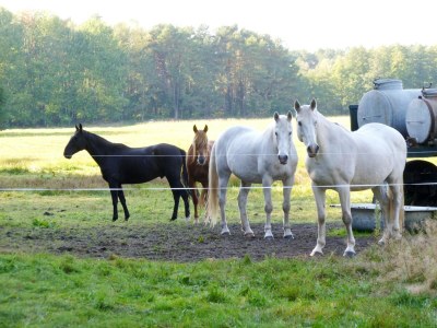 Holiday house Ferienhaus 4 Elemente in Selchow mit tollem Garten - Environment photo 30