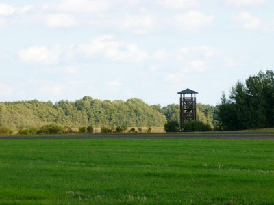 Holiday house Ferienhaus 4 Elemente in Selchow mit tollem Garten - Environment photo 37