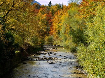 Holiday house Familienblockhaus in den Alpen - Environment photo 24