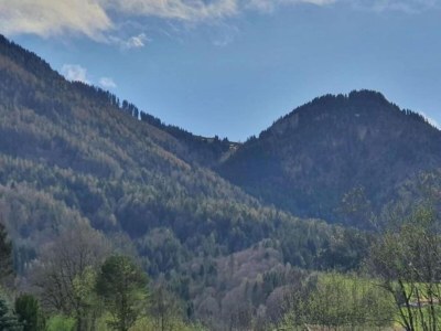 Holiday house Familienblockhaus in den Alpen - Environment photo 29