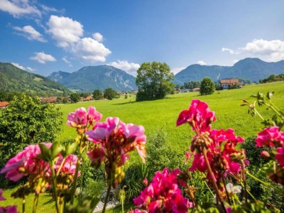 Holiday house Familienblockhaus in den Alpen - Environment photo 30