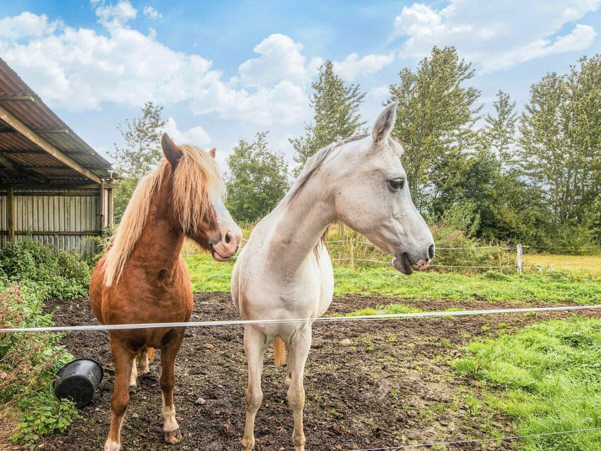 Holiday house 6 person holiday home in Gram - Outdoor photo 5