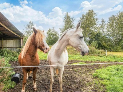 Holiday house 6 person holiday home in Gram - Outdoor photo 5
