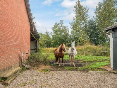 Holiday house 6 person holiday home in Gram - Outdoor photo 23