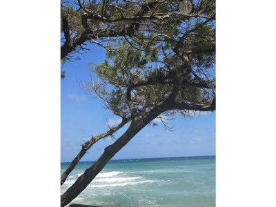 Holiday house Trulli Relax Immobilieare - Outdoor photo 17