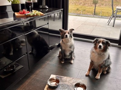 Chalet Waterdunen House - Features photo 18