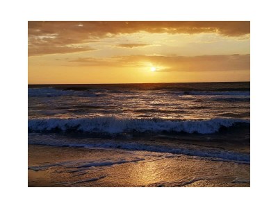 Chalet Waterdunen House - Environment photo 43