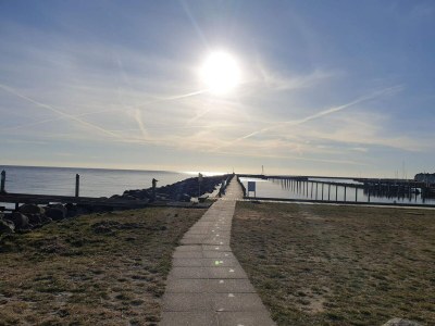 Holiday house 4 Sterne Ferienhaus in Karrebæksminde - Outdoor photo 5