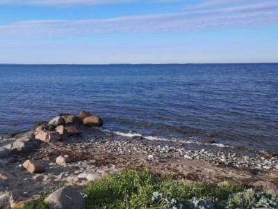 Holiday house 4 Sterne Ferienhaus in Karrebæksminde - Outdoor photo 14