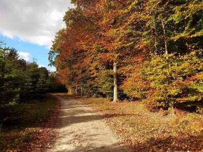 Holiday house 4 Sterne Ferienhaus in Karrebæksminde - Outdoor photo 15