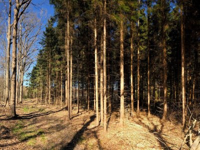 Holiday house 4 Sterne Ferienhaus in Karrebæksminde - Outdoor photo 16