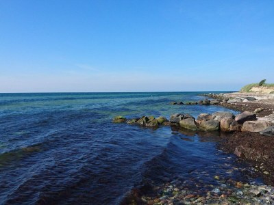 Holiday house 4 Sterne Ferienhaus in Karrebæksminde - Outdoor photo 19