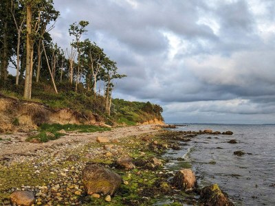 Holiday house 4 Sterne Ferienhaus in Karrebæksminde - Outdoor photo 20