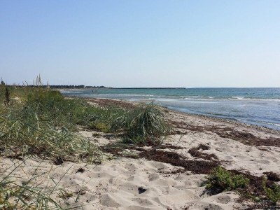 Holiday house 4 Sterne Ferienhaus in Karrebæksminde - Outdoor photo 22