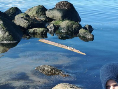 Holiday house 4 Sterne Ferienhaus in Karrebæksminde - Outdoor photo 25