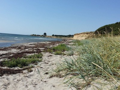 Holiday house 4 Sterne Ferienhaus in Karrebæksminde - Outdoor photo 26
