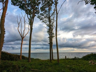 Holiday house 4 Sterne Ferienhaus in Karrebæksminde - Outdoor photo 34