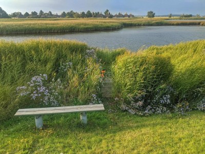 Holiday house 4 Sterne Ferienhaus in Karrebæksminde - Outdoor photo 36