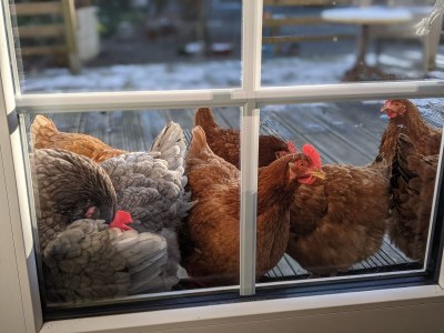 Holiday house La Vacherie - Outdoor photo 15