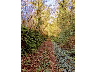 Holiday house La Vacherie - Environment photo 35