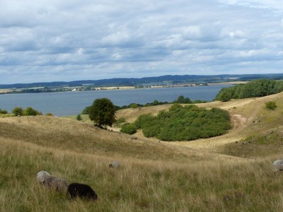 Holiday apartment Binz Seeterrassen 4 - Environment photo 17