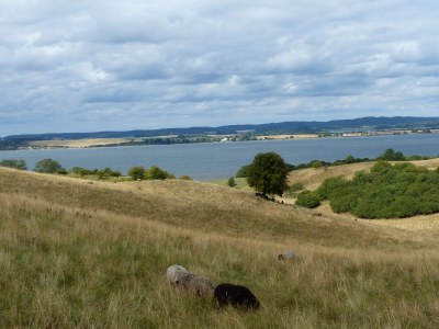 Holiday apartment Binz Seeterrassen 4 - Environment photo 21