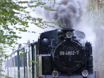 Holiday apartment Binz Seeterrassen 4 - Environment photo 25