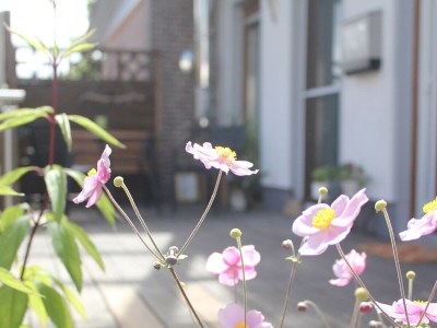 Holiday apartment Ferienwohnung  Elia-Eldingen - Outdoor photo 3