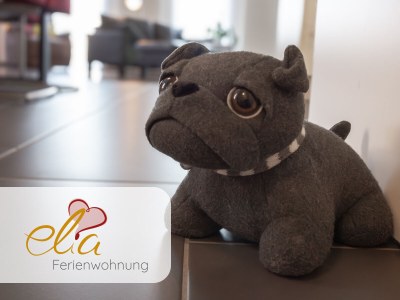 Holiday apartment Ferienwohnung  Elia-Eldingen - Features photo 17