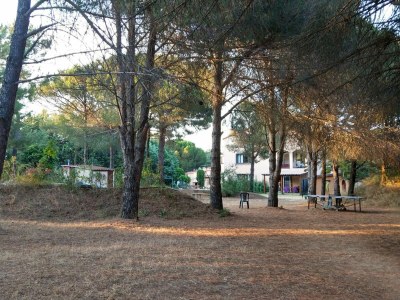 Holiday apartment Canigou, garden & grill, on 2Ha shared park w. pool - Outdoor photo 8