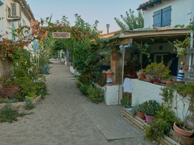 Holiday apartment Canigou, garden & grill, on 2Ha shared park w. pool - Environment photo 24