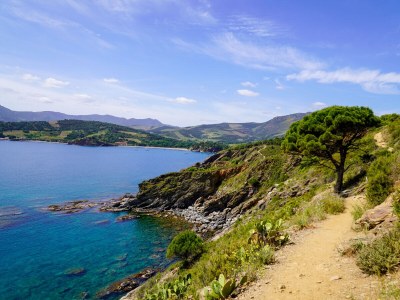 Holiday apartment Canigou, garden & grill, on 2Ha shared park w. pool - Environment photo 25