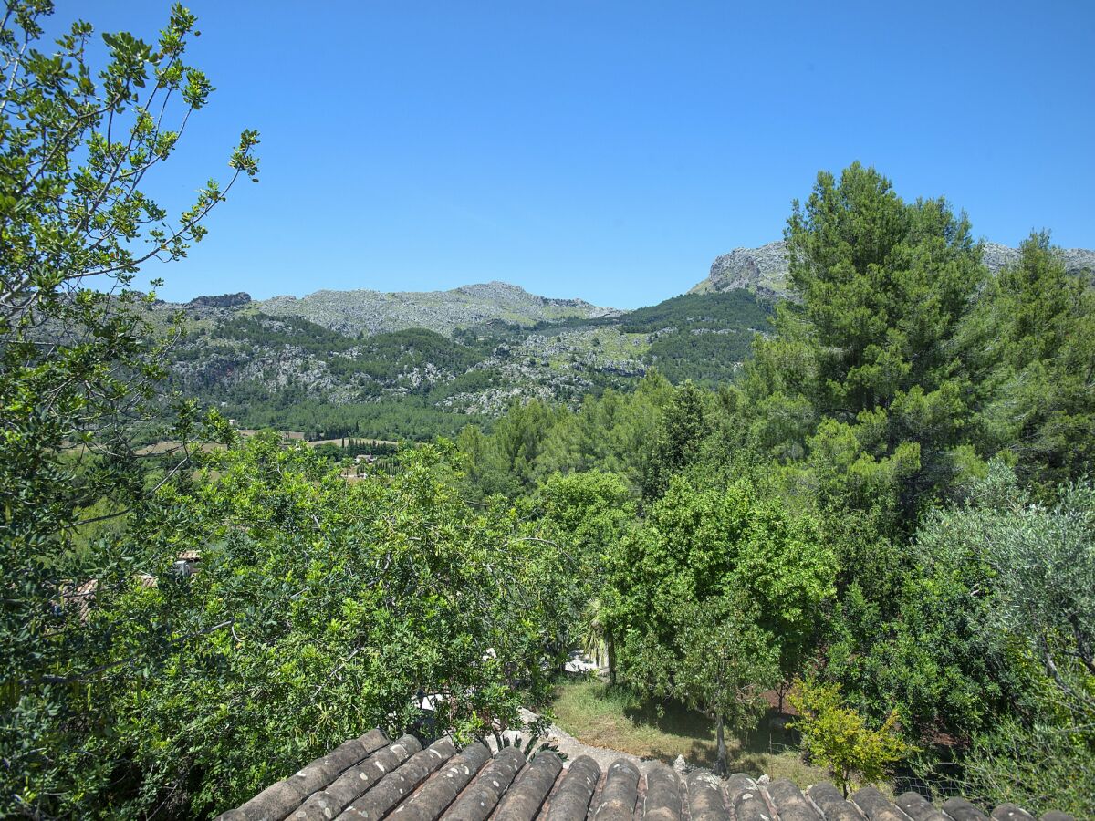 Villa Luxury villa in Pollensa with terrace