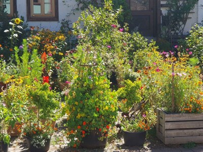 Apartment Maisonette-Ferienwohnung (4 ZKB, 2 Schlafzimmer) - Outdoor photo 36