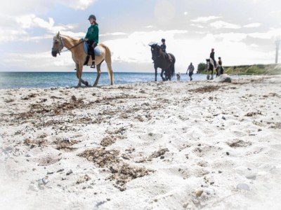 Holiday house Wellness & Comfort Retreat - Environment photo 35