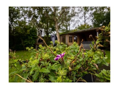 Holiday house Welness huisje 97 - Outdoor photo 9