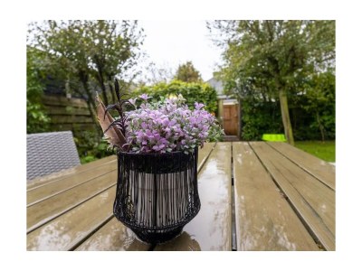 Holiday house Welness huisje 97 - Outdoor photo 11