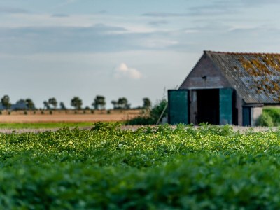 Holiday house No title - Environment photo 14