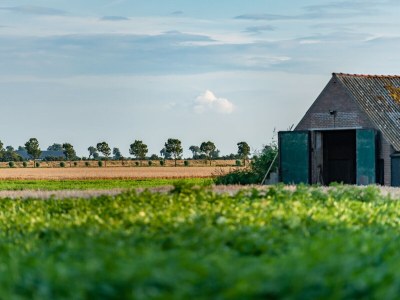 Holiday house No title - Environment photo 13