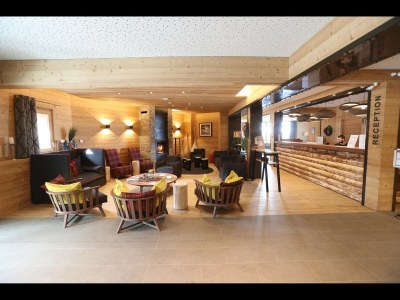 Apartment Chalet in Frankreich mit Spa & Pool - Features photo 9