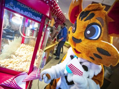 Holiday park Chalet in Samoëns near Ski Lift - Outdoor photo 29