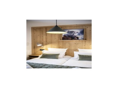 Apartment Wohnung in La Chapelle nahe Crêt-Béni Lift - Features photo 26