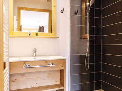 Apartment Apartment in Combloux near Mont-Blanc Views - Features photo 27