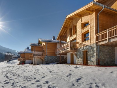 Apartment Apartment in Combloux near Mont-Blanc Views - Environment photo 28