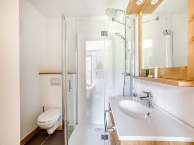 Apartment Chalet in Combloux with Mont-Blanc Views - Features photo 24