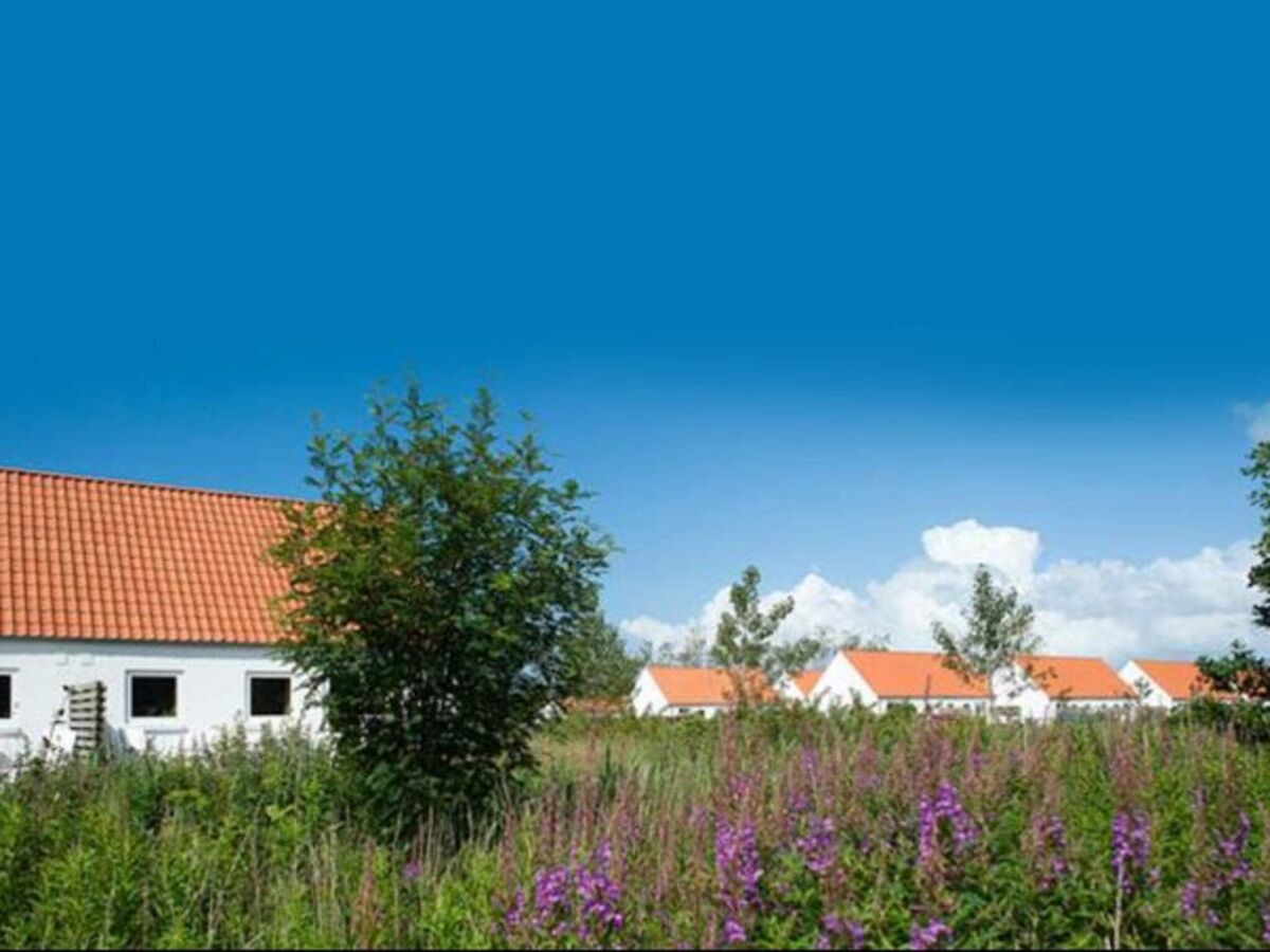 Holiday house 4 star holiday home in Skagen